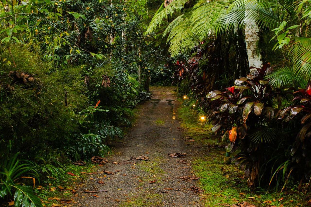 Quarto Varanda - Residencia Gaia Itatiaia Itatiaia  Eksteriør bilde