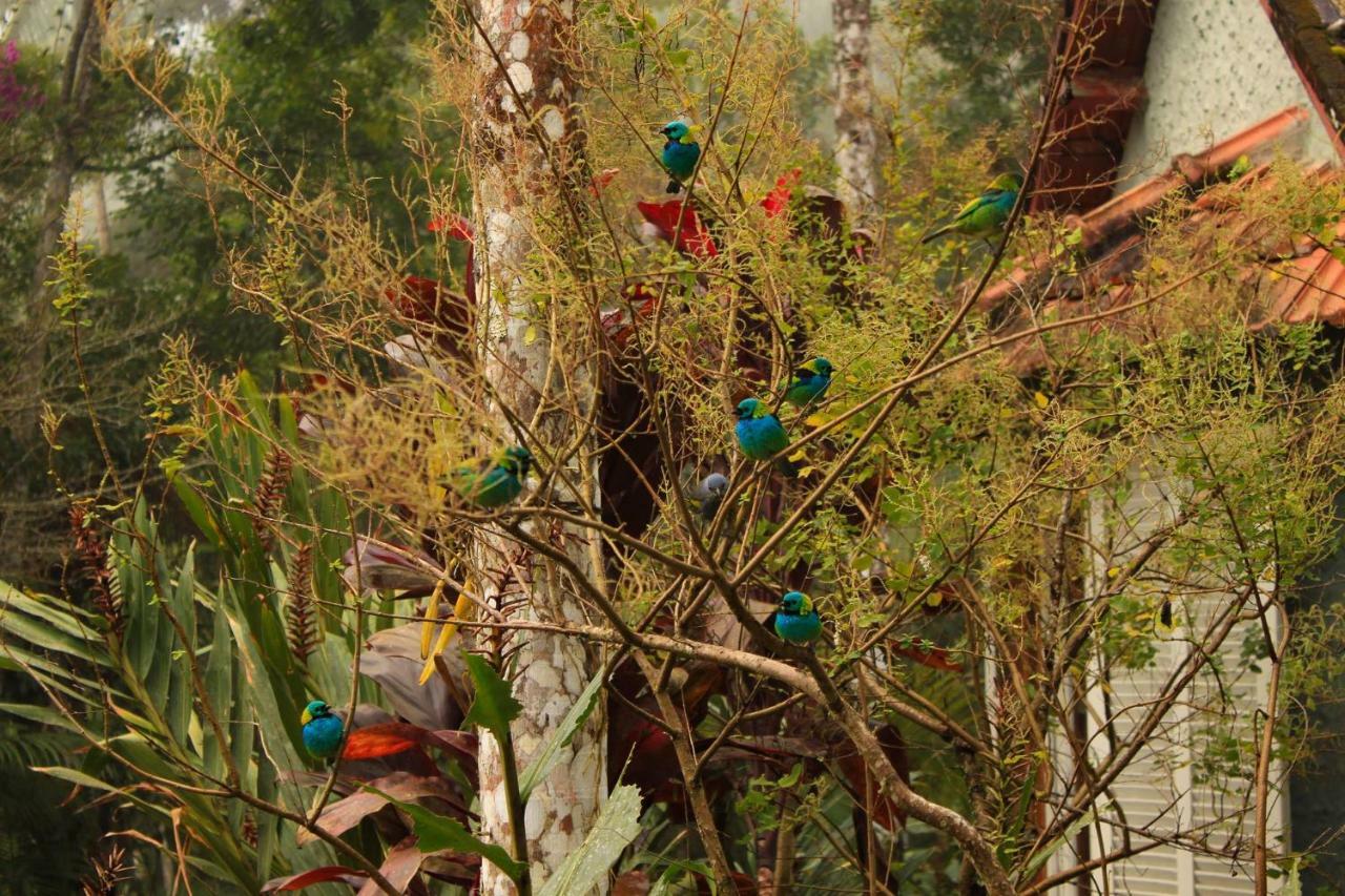 Quarto Varanda - Residencia Gaia Itatiaia Itatiaia  Eksteriør bilde